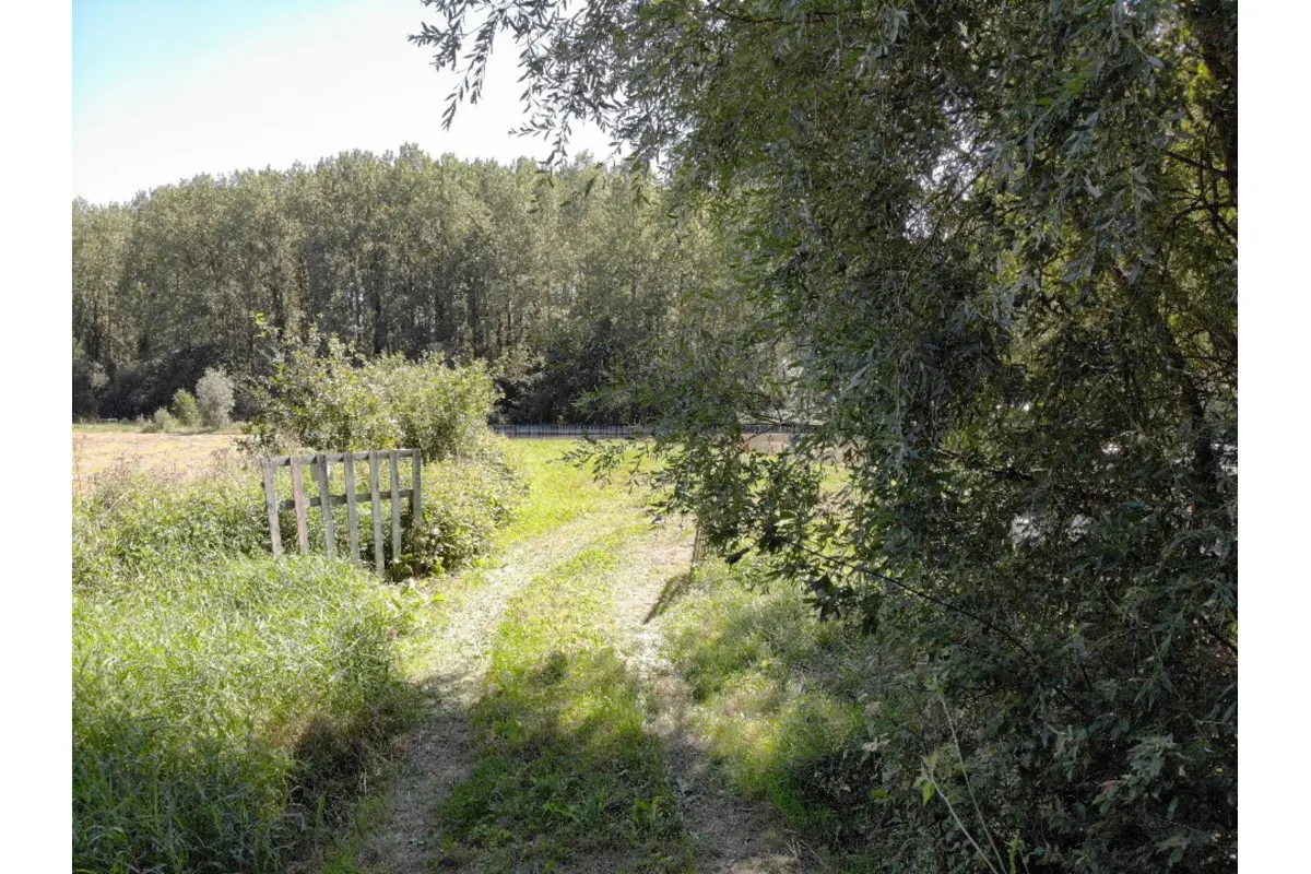 Terrain à vendre à Halle 1500 120000.00€  chambres m² - Annonce 520240