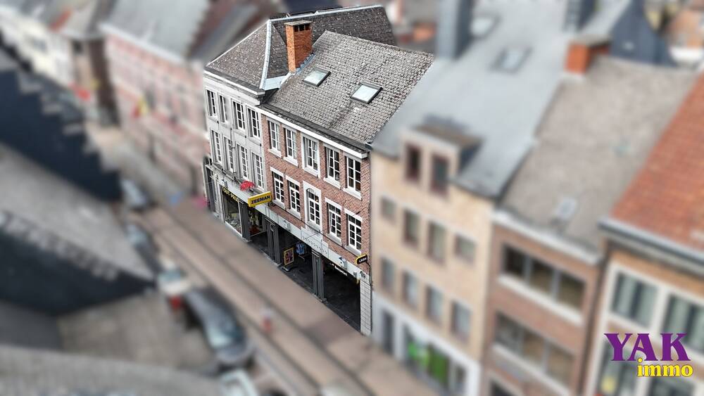 Mixgebouw te in Edingen 7850 1800000.00€ 7 slaapkamers 1710.00m² - Zoekertje 523876