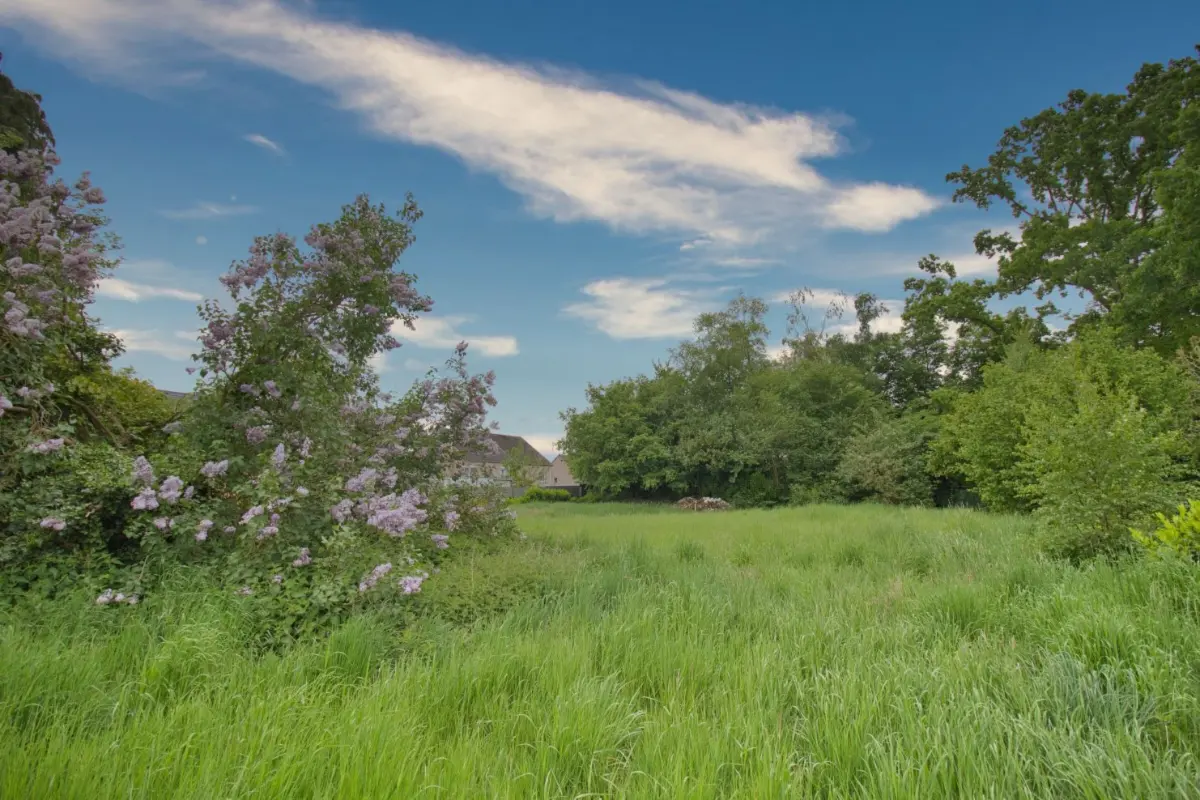 Grond te  koop in Tubeke 1480 315000.00€  slaapkamers m² - Zoekertje 526274