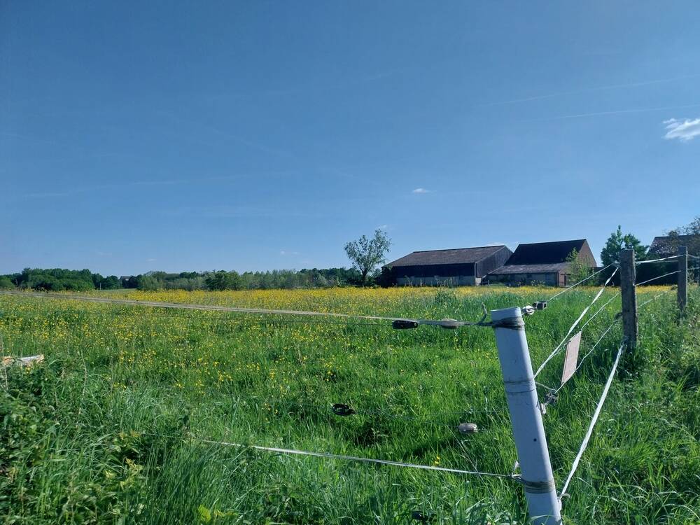 Terrain à vendre à Virginal-Samme 1460 170000.00€ chambres m² - Annonce 528289