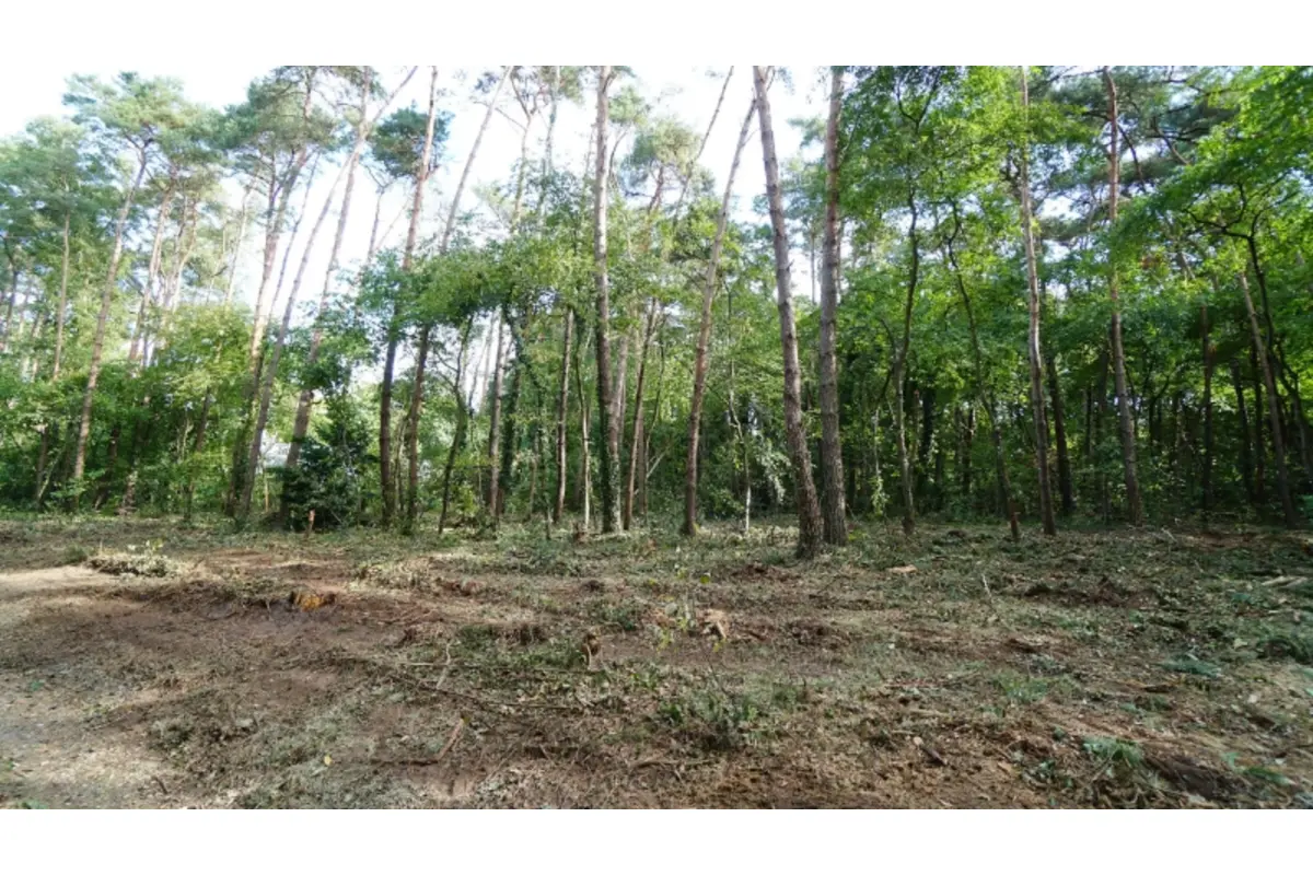 Grond te  koop in Keerbergen 3140 380000.00€  slaapkamers m² - Zoekertje 538854