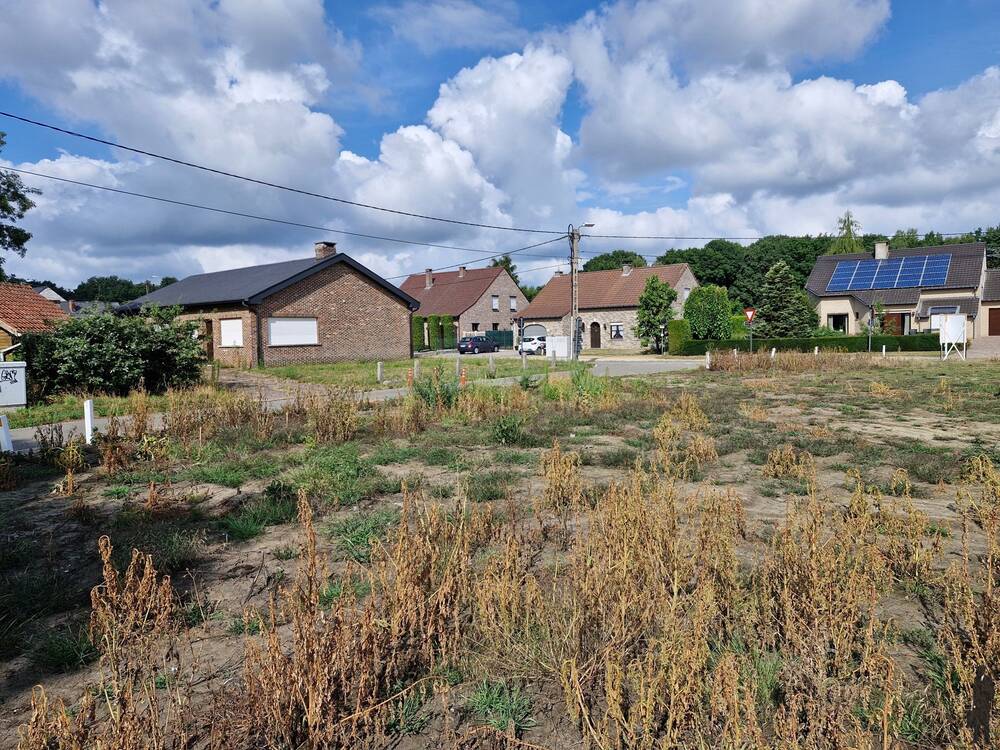 Terrain à vendre à Begijnendijk 3130 179000.00€ chambres m² - Annonce 539031