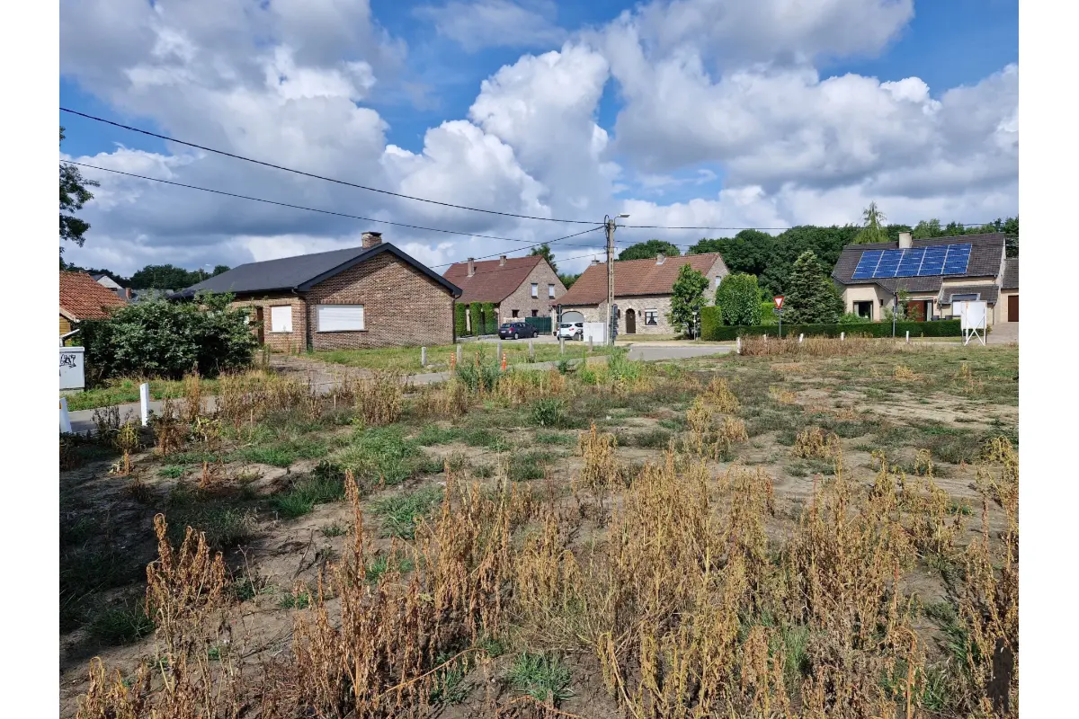 Grond te  koop in Begijnendijk 3130 179000.00€  slaapkamers m² - Zoekertje 539031