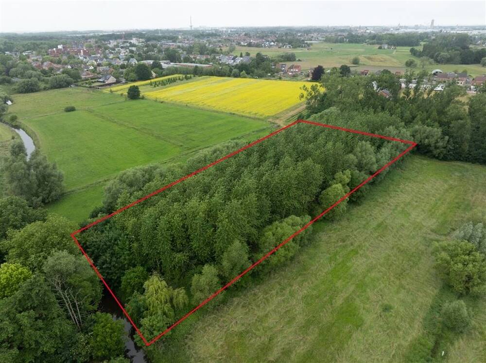 Terrain non bâtissable à vendre à Hofstade 1981 199000.00€ chambres m² - Annonce 543461