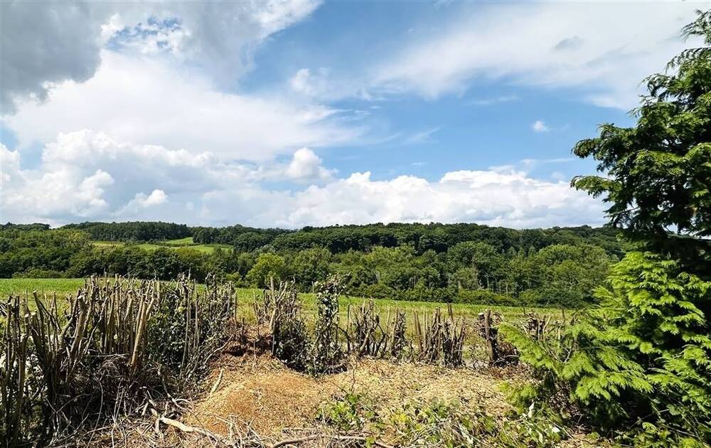 Terrain à vendre à Court-Saint-Etienne 1490 450000.00€ chambres m² - Annonce 548590