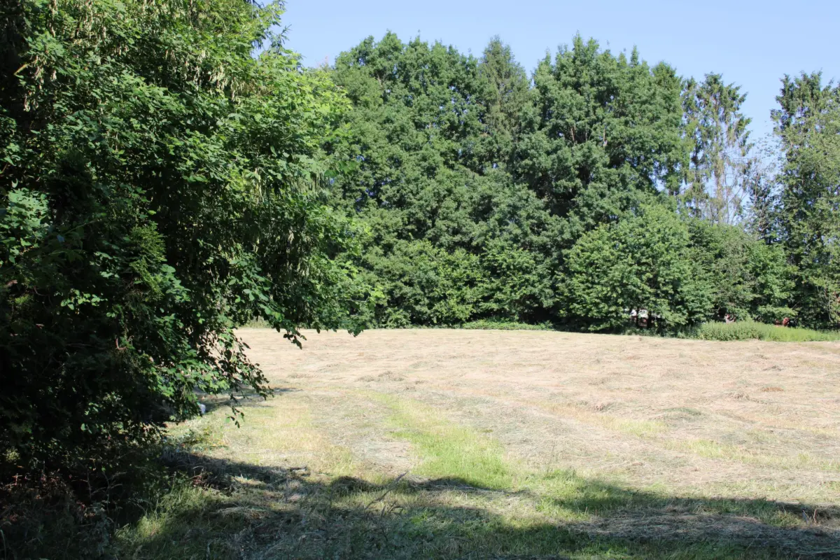 Terrain à vendre à Lasne-Chapelle-Saint-Lambert 1380 650000.00€  chambres m² - Annonce 551048