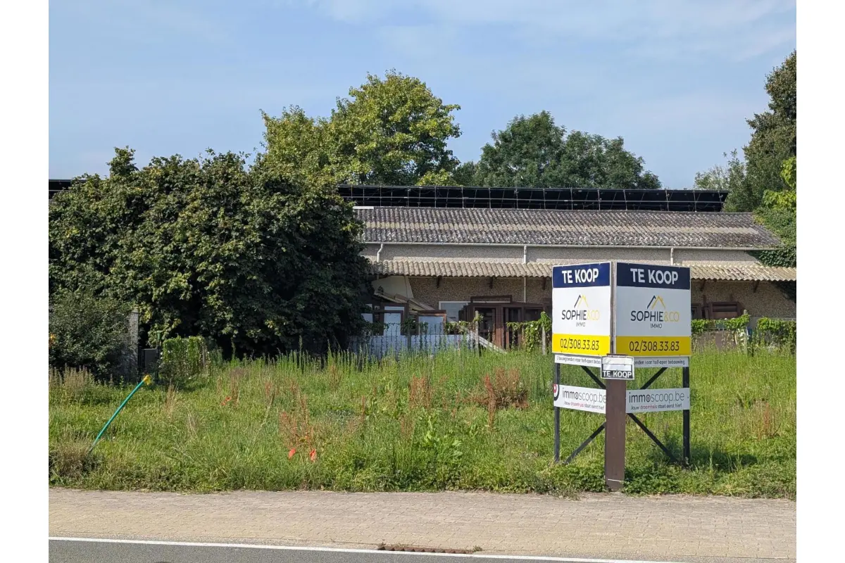 Grond te  koop in Bever 1547 80000.00€  slaapkamers m² - Zoekertje 552691