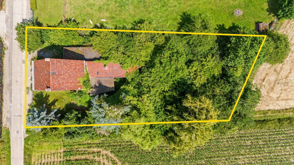 Terrain à vendre à Biévène 1547 223000.00€  chambres m² - Annonce 552692