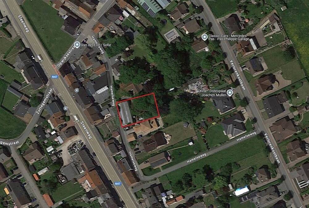 Commerce à vendre à Asse 1730 495000.00€  chambres 600.00m² - Annonce 555839