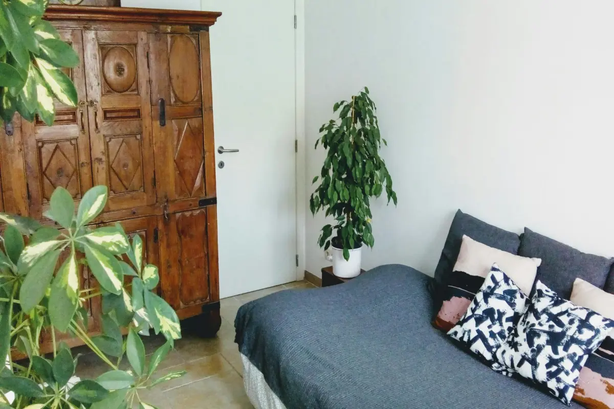 Appartement te  huur in Sint-Pieters-Leeuw 1600 650.00€  slaapkamers m² - Zoekertje 557436