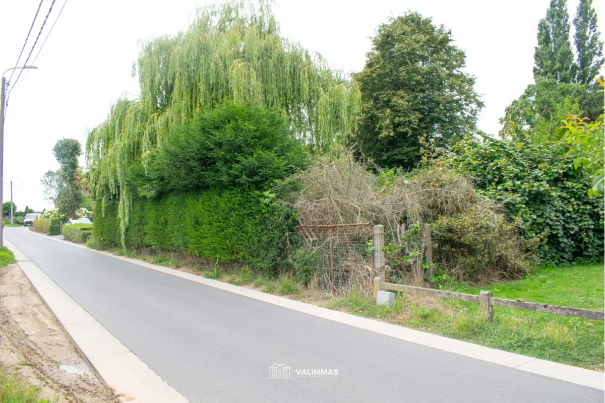 Grond te  koop in Dilbeek 1700 297000.00€  slaapkamers m² - Zoekertje 560012