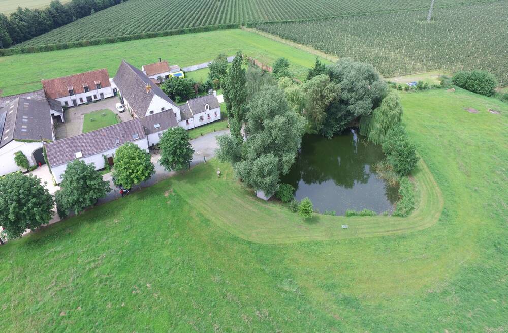 Appartement à louer à Bierghes 1430 850.00€ 1 chambres 75.00m² - Annonce 563332
