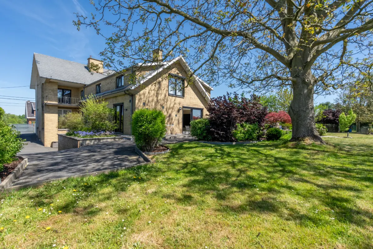 Mixgebouw te  in Le Roeulx 7070 649000.00€  slaapkamers 439.00m² - Zoekertje 564894