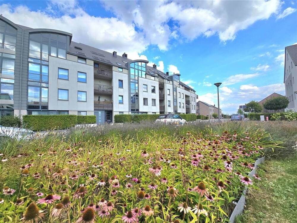 Appartement à à Gembloux 5030 1075.00€ 2 chambres 110.00m² - Annonce 573453