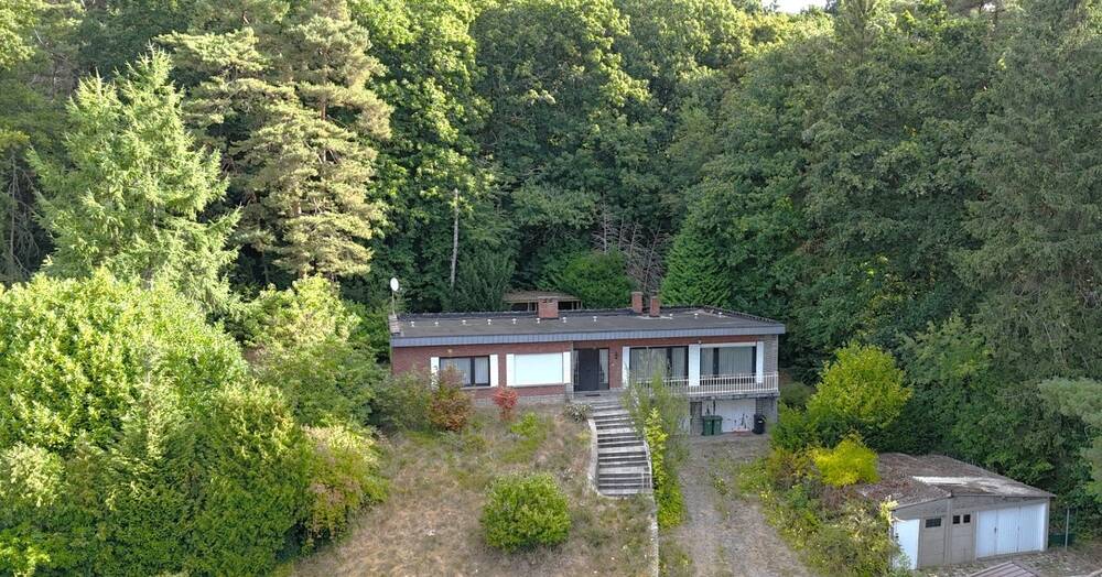 Maison à vendre à Sint-Joris-Weert 3051 495000.00€ 4 chambres 220.00m² - Annonce 574382