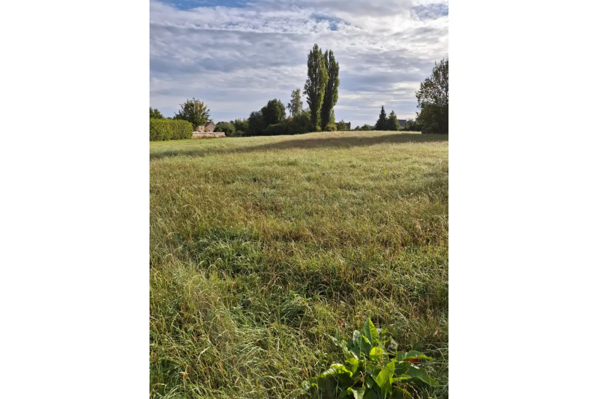 Terrain à vendre à Piétrain 1370 129000.00€  chambres m² - Annonce 574814