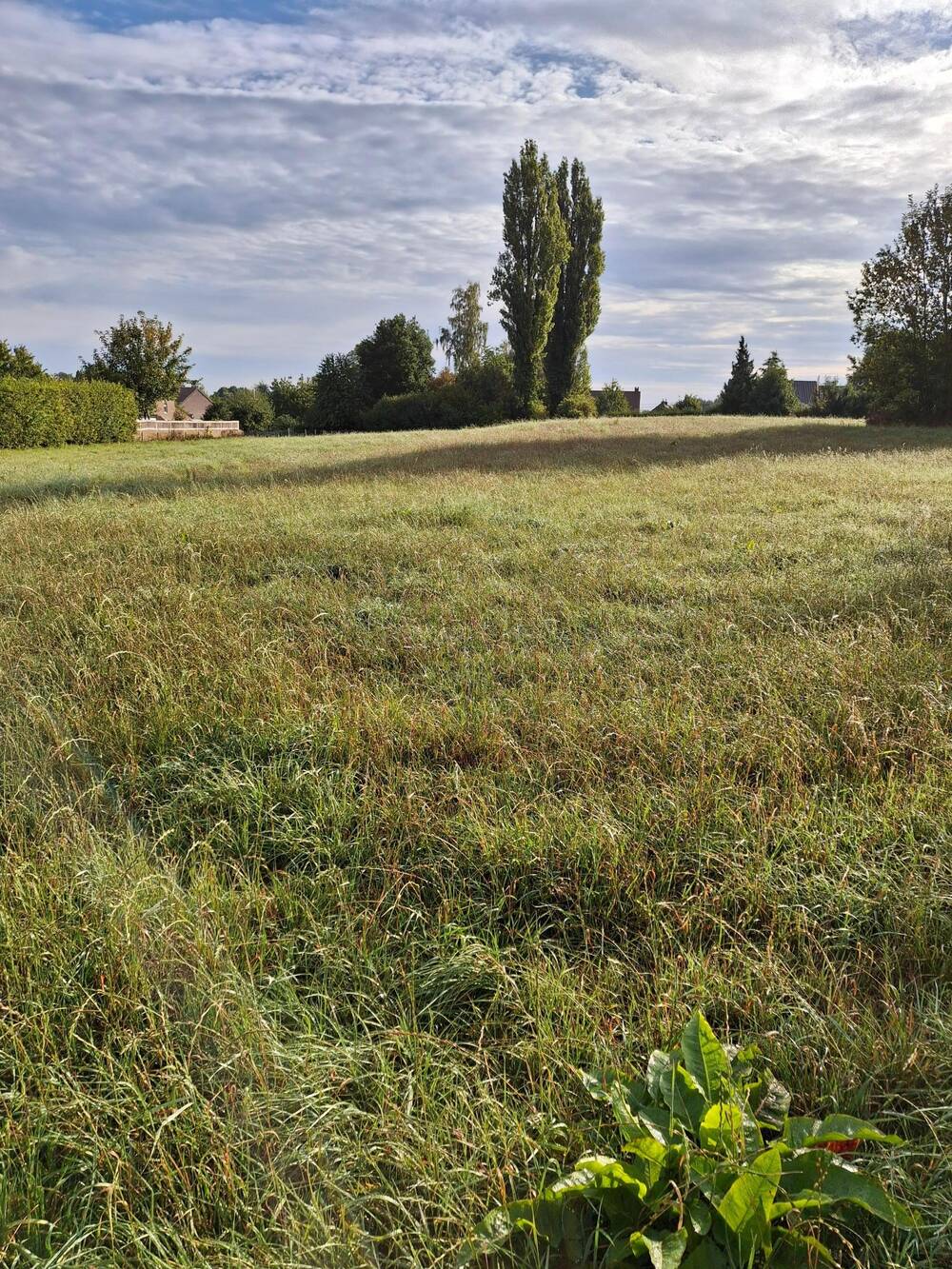 Terrain à vendre à Piétrain 1370 145000.00€ chambres m² - Annonce 574814