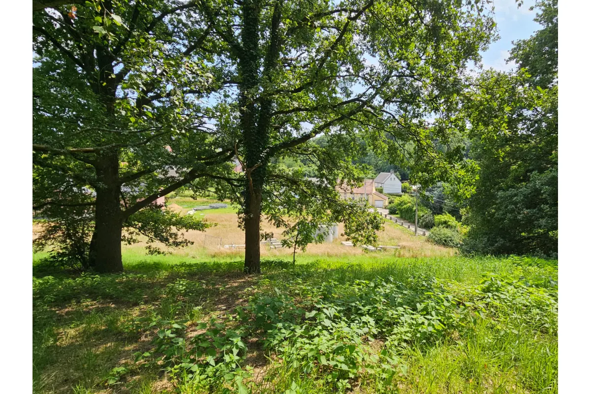 Terrain non bâtissable à vendre à Court-Saint-Etienne 1490 30000.00€  chambres m² - Annonce 577107