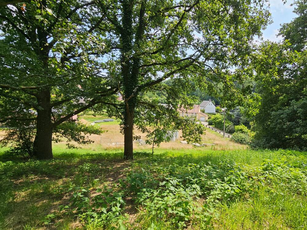 Terrain à vendre à Court-Saint-Etienne 1490 30000.00€  chambres m² - Annonce 577107