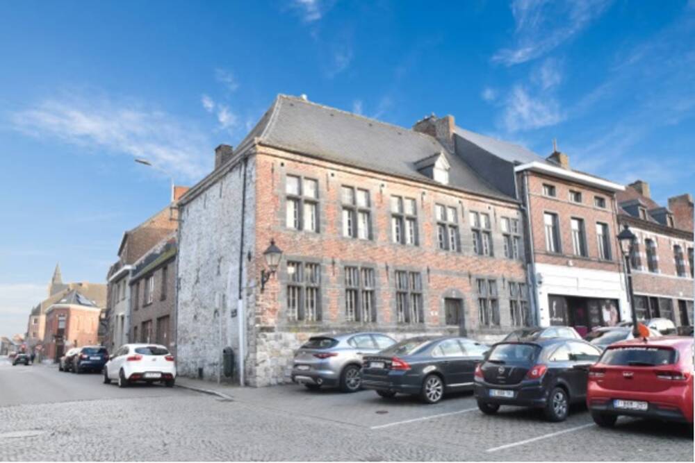 Commerce à  à Le Roeulx 7070 250000.00€  chambres 266.00m² - Annonce 581018