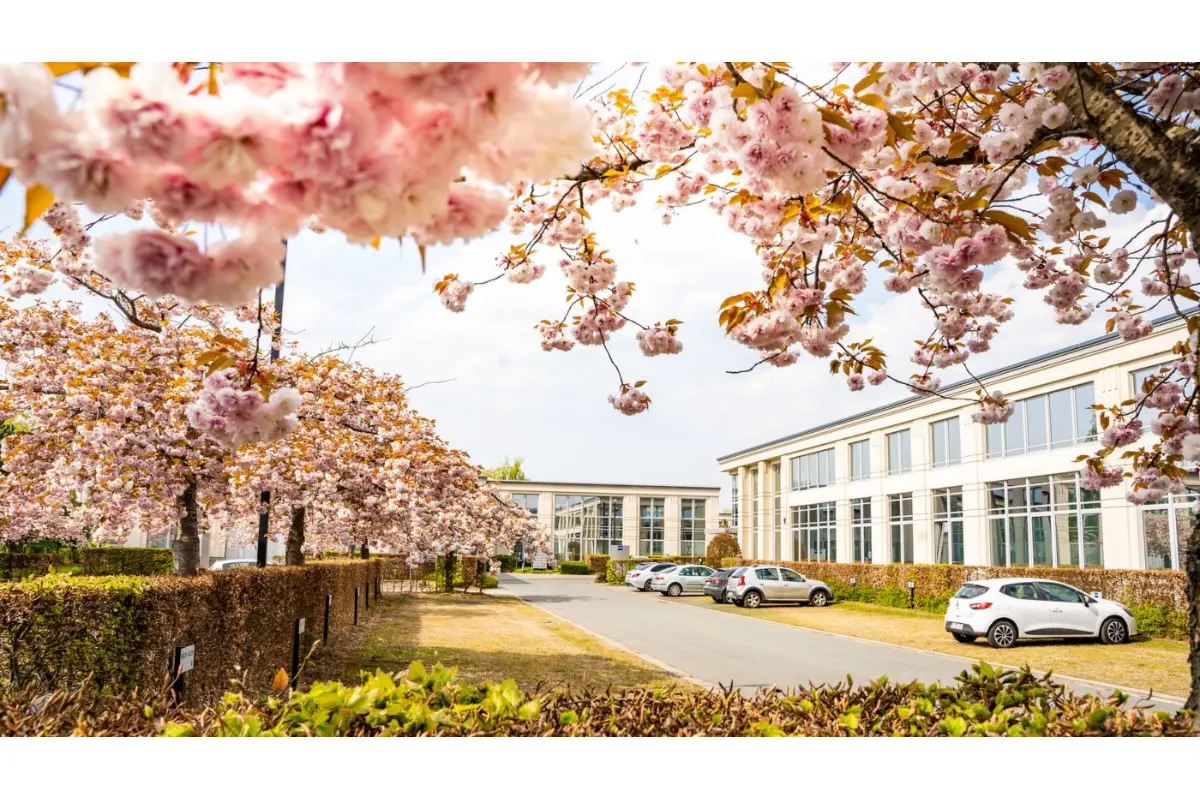 Commerce à louer à Zaventem 1930 7820.00€  chambres 853.00m² - Annonce 584492