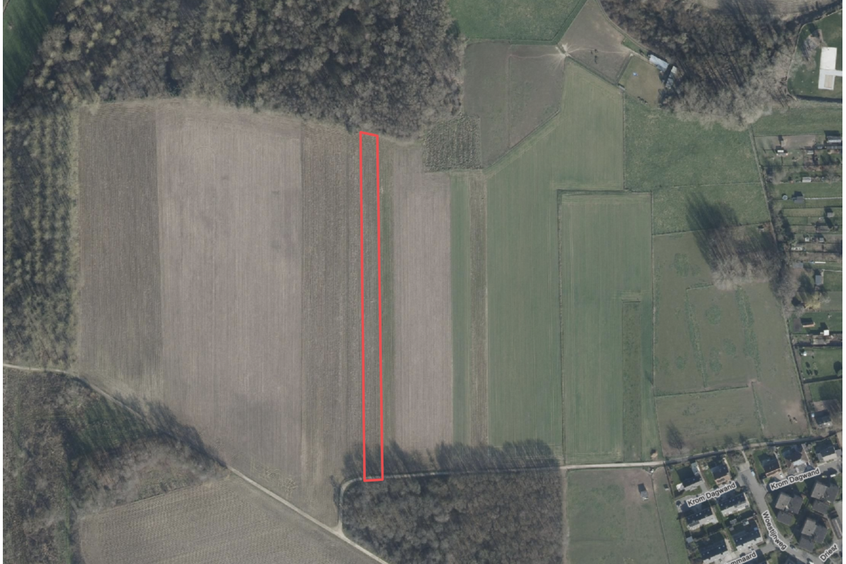 Terrain non bâtissable à vendre à Asse 1730 26355.00€  chambres m² - Annonce 595903