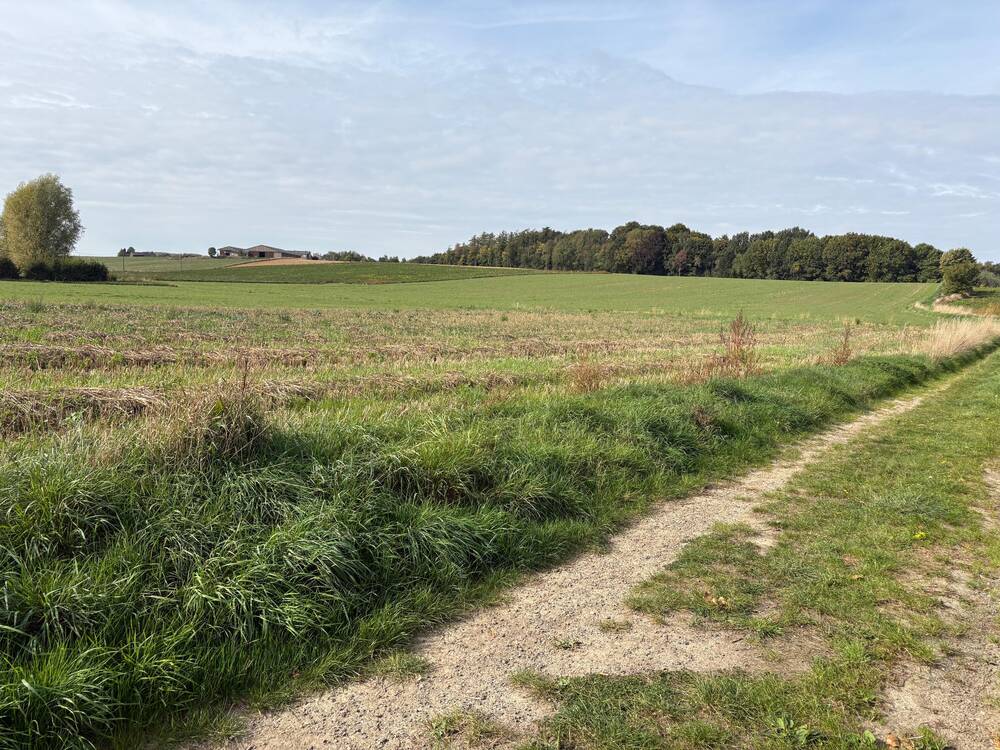 Terrain à vendre à Jodoigne-Souveraine 1370 140000.00€ chambres m² - Annonce 599820
