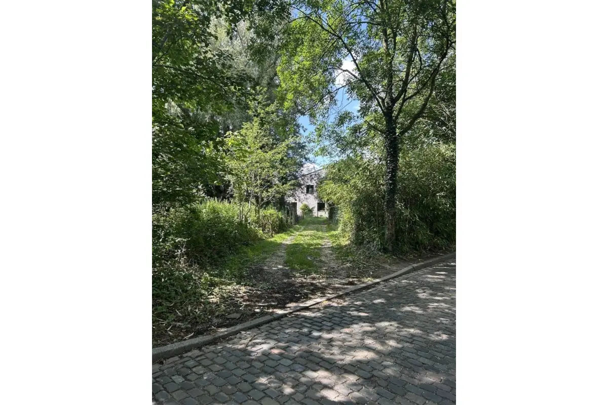 Maison à vendre à Asse 1730 695000.00€ 3 chambres 165.00m² - Annonce 602044