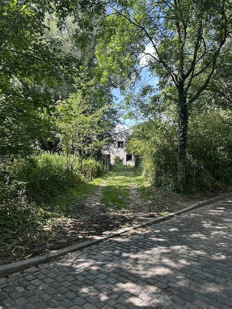 Maison à vendre à Kobbegem 1730 695000.00€ 3 chambres 165.00m² - Annonce 602045