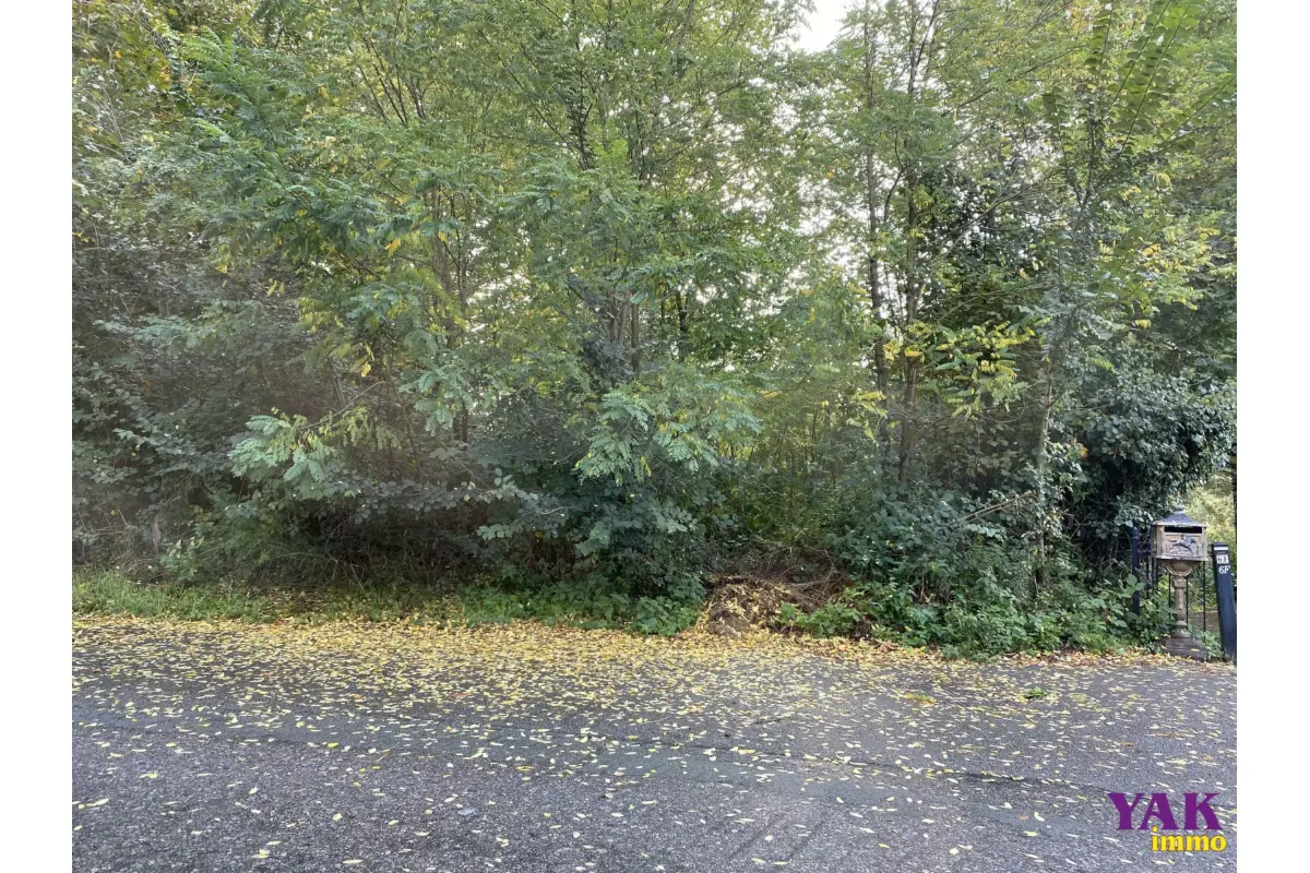 Terrain à  à Wauthier-Braine 1440 485000.00€  chambres m² - Annonce 605874