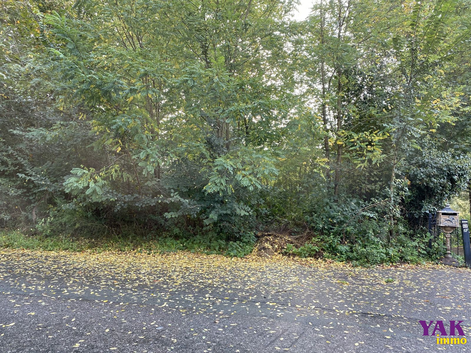 Terrain à  à Wauthier-Braine 1440 485000.00€  chambres m² - Annonce 605874