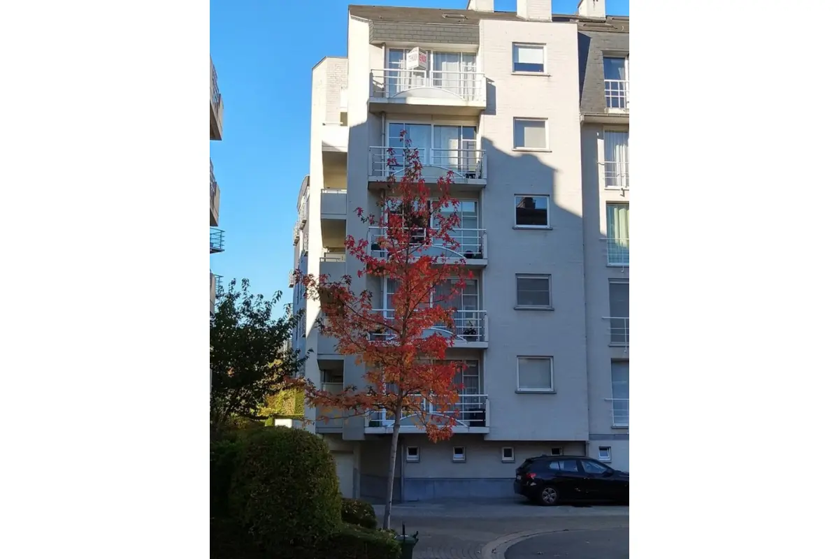 Duplex te  huur in Kessel-Lo 3010 890.00€ 1 slaapkamers m² - Zoekertje 612803