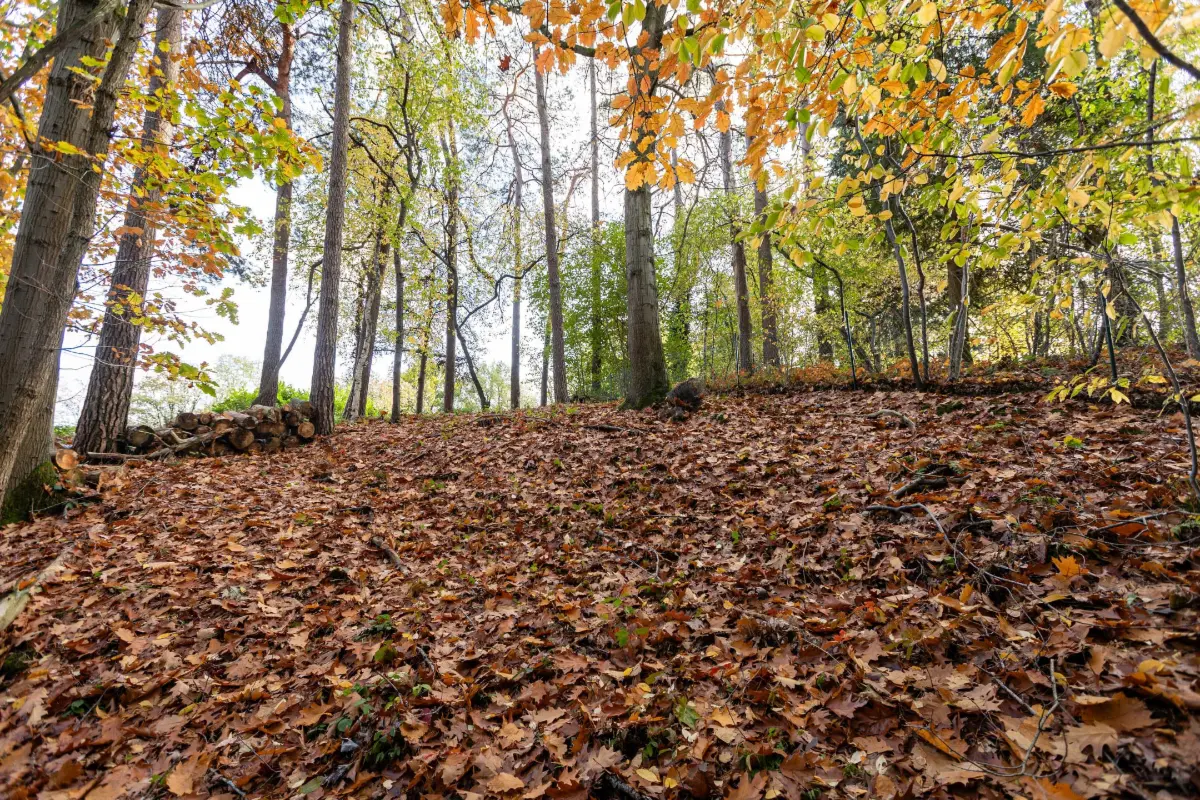 Terrain à  à Wavre 1300 259000.00€  chambres m² - Annonce 613603