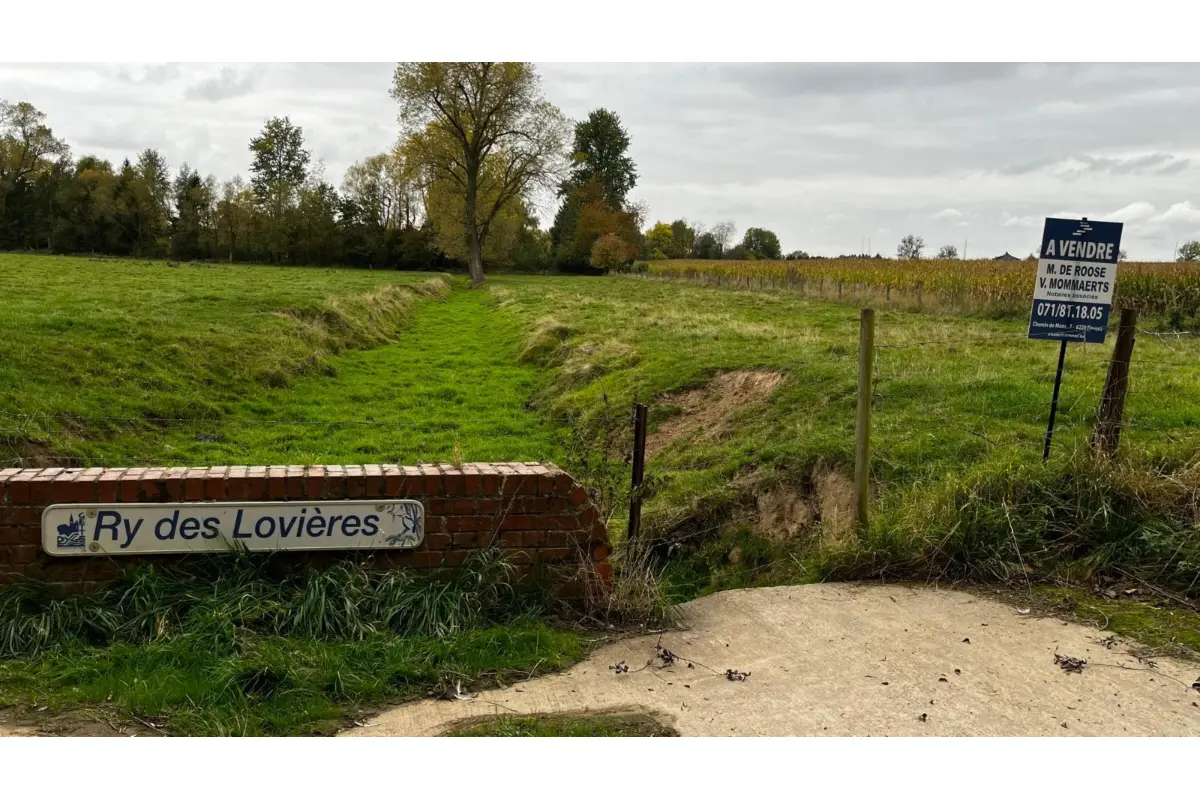 Grond te  koop in Nil-Saint-Vincent-Saint-Martin 1457 244626.00€  slaapkamers m² - Zoekertje 615718