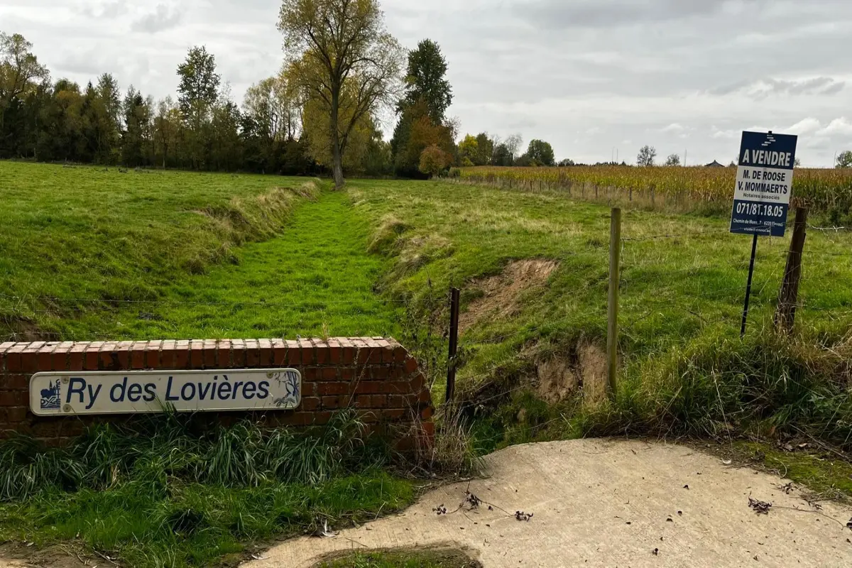 Grond te  koop in Nil-Saint-Vincent-Saint-Martin 1457 244626.00€  slaapkamers m² - Zoekertje 615718