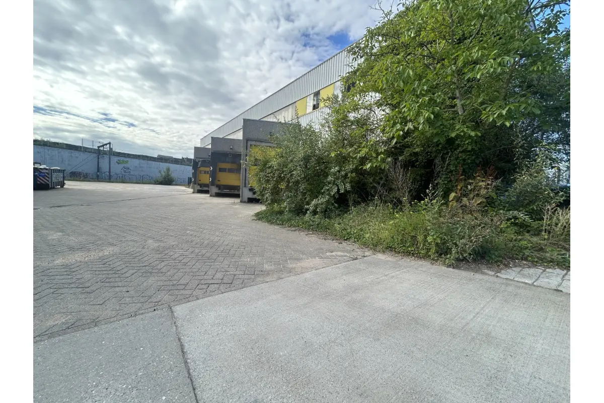 Commerce à louer à Lot 1651 6500.00€  chambres 1200.00m² - Annonce 630950