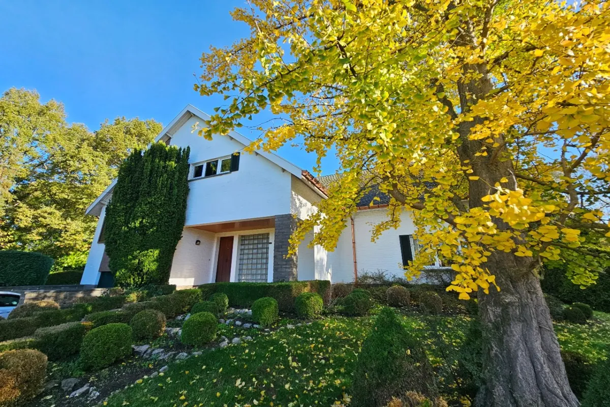 Maison à vendre à Haacht 3150 600000.00€ 4 chambres 239.00m² - Annonce 632227