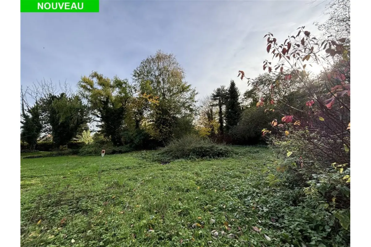 Terrain à bâtir à  à Walhain-Saint-Paul 1457 220000.00€  chambres m² - Annonce 634789