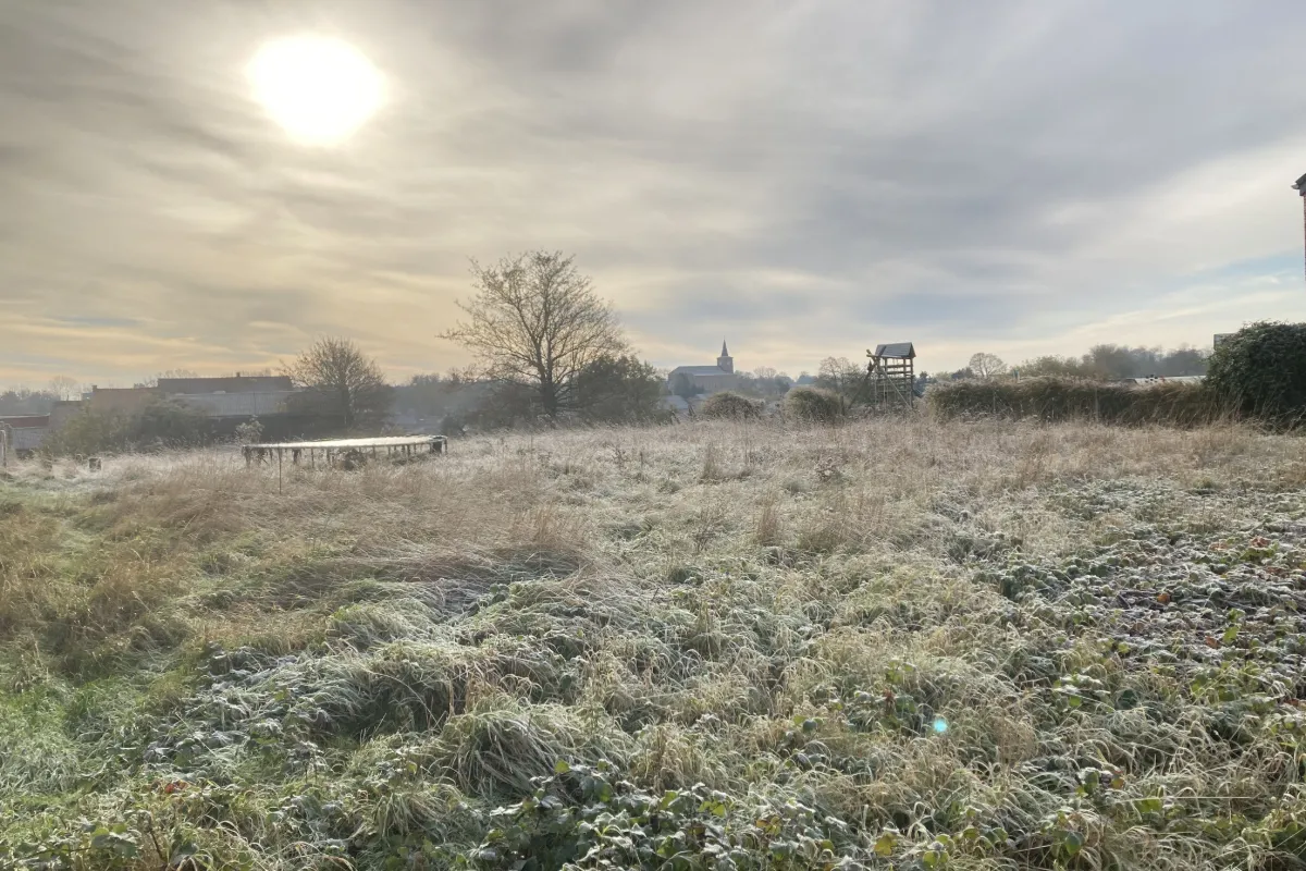 Terrain à vendre à Lathuy 1370 129000.00€  chambres m² - Annonce 639361