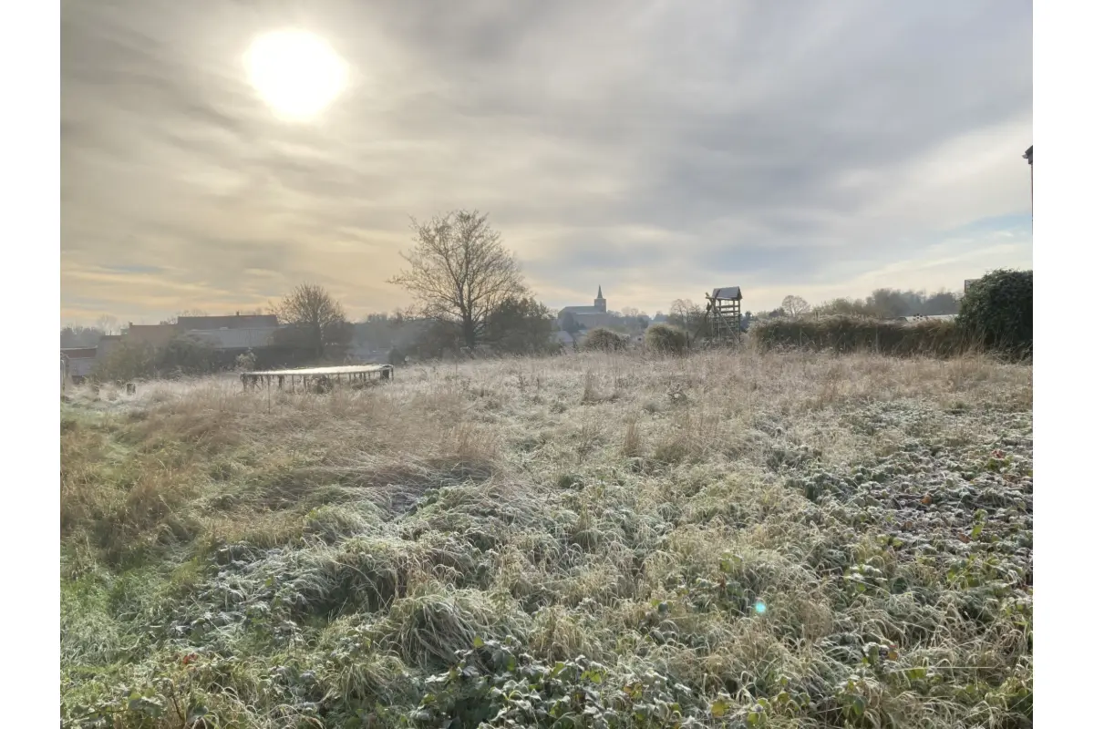 Terrain à vendre à Lathuy 1370 129000.00€  chambres m² - Annonce 639361