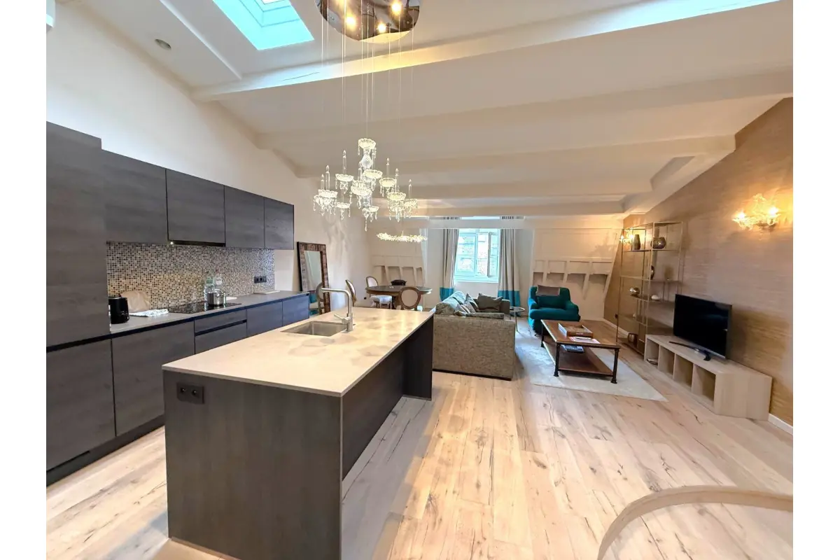 Appartement à  à Bruxelles 1000 1700.00€ 1 chambres 101.00m² - Annonce 640042