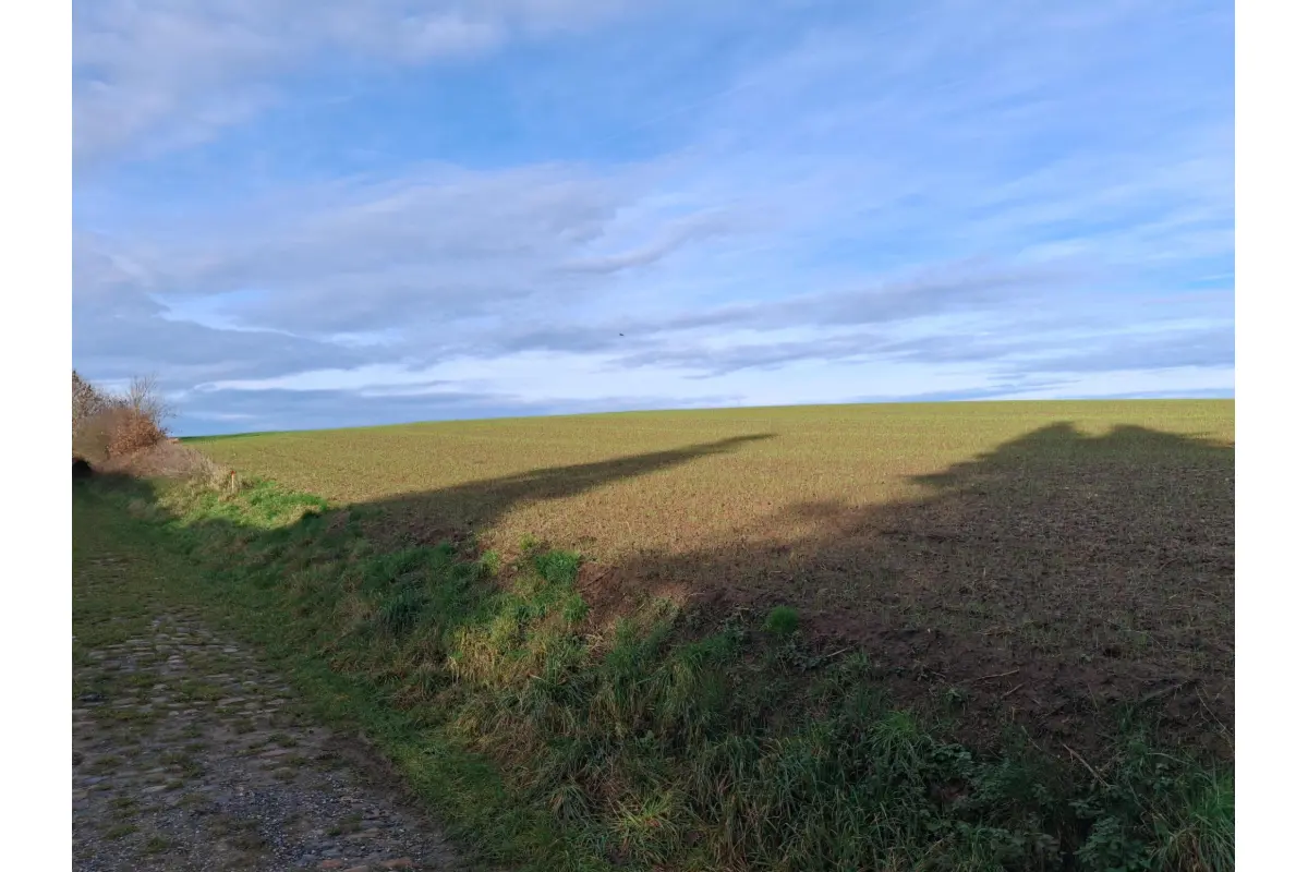 Terrain à vendre à Piétrain 1370 134000.00€  chambres m² - Annonce 647351