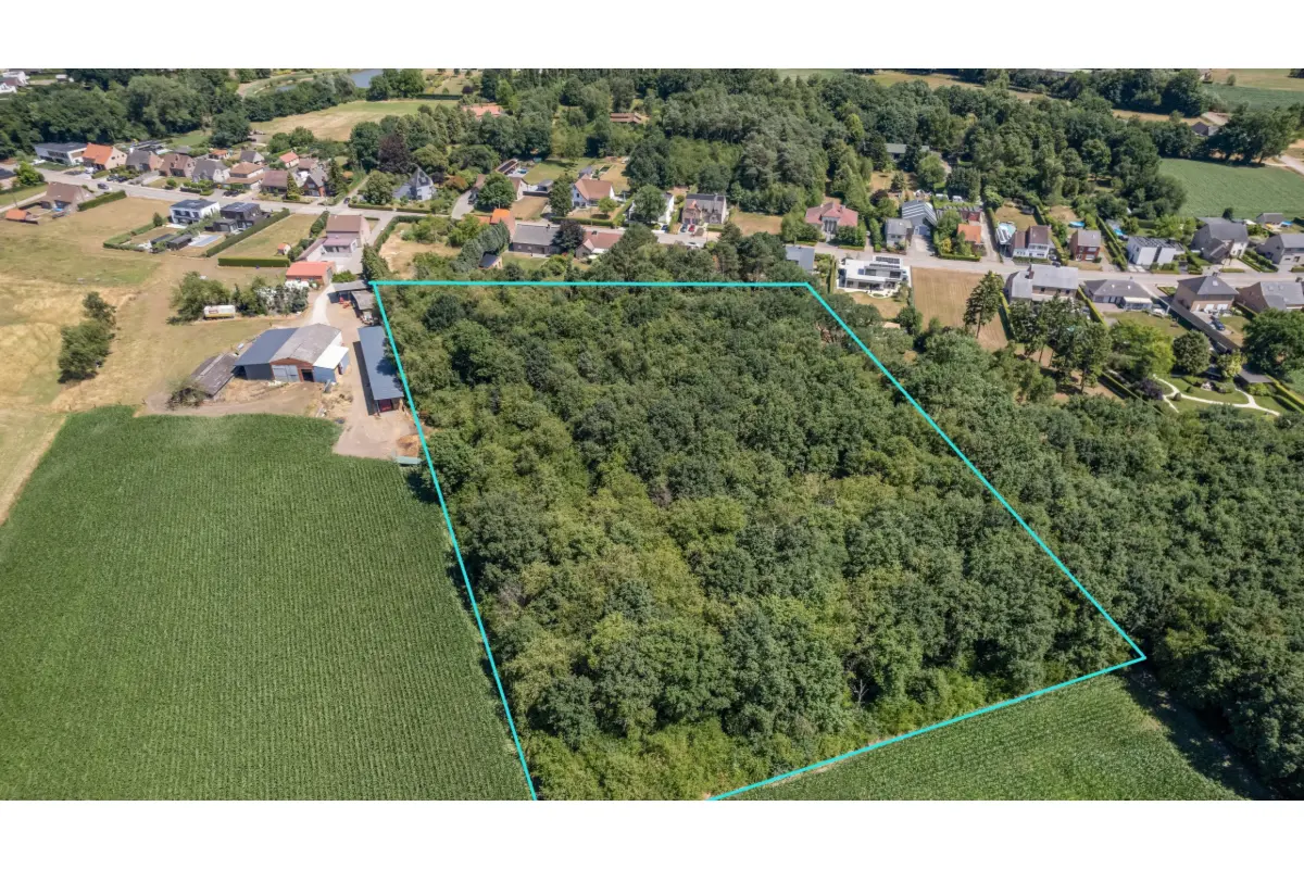 Grond te  in Putte 2580 65000.00€  slaapkamers m² - Zoekertje 647082