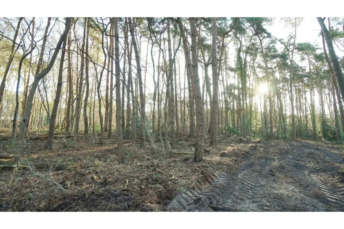 Terrain à vendre à Keerbergen 3140 465000.00€  chambres m² - Annonce 652209