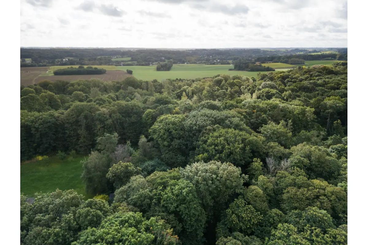 Terrain à vendre à Wavre 1300 425000.00€  chambres m² - Annonce 657645