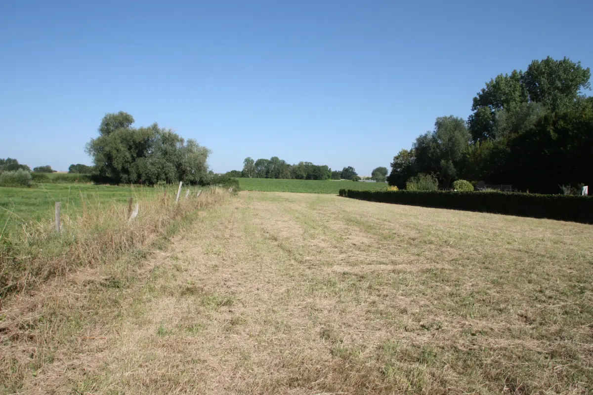 Grond te  koop in Mont-Saint-André 1367 185000.00€  slaapkamers m² - Zoekertje 667611