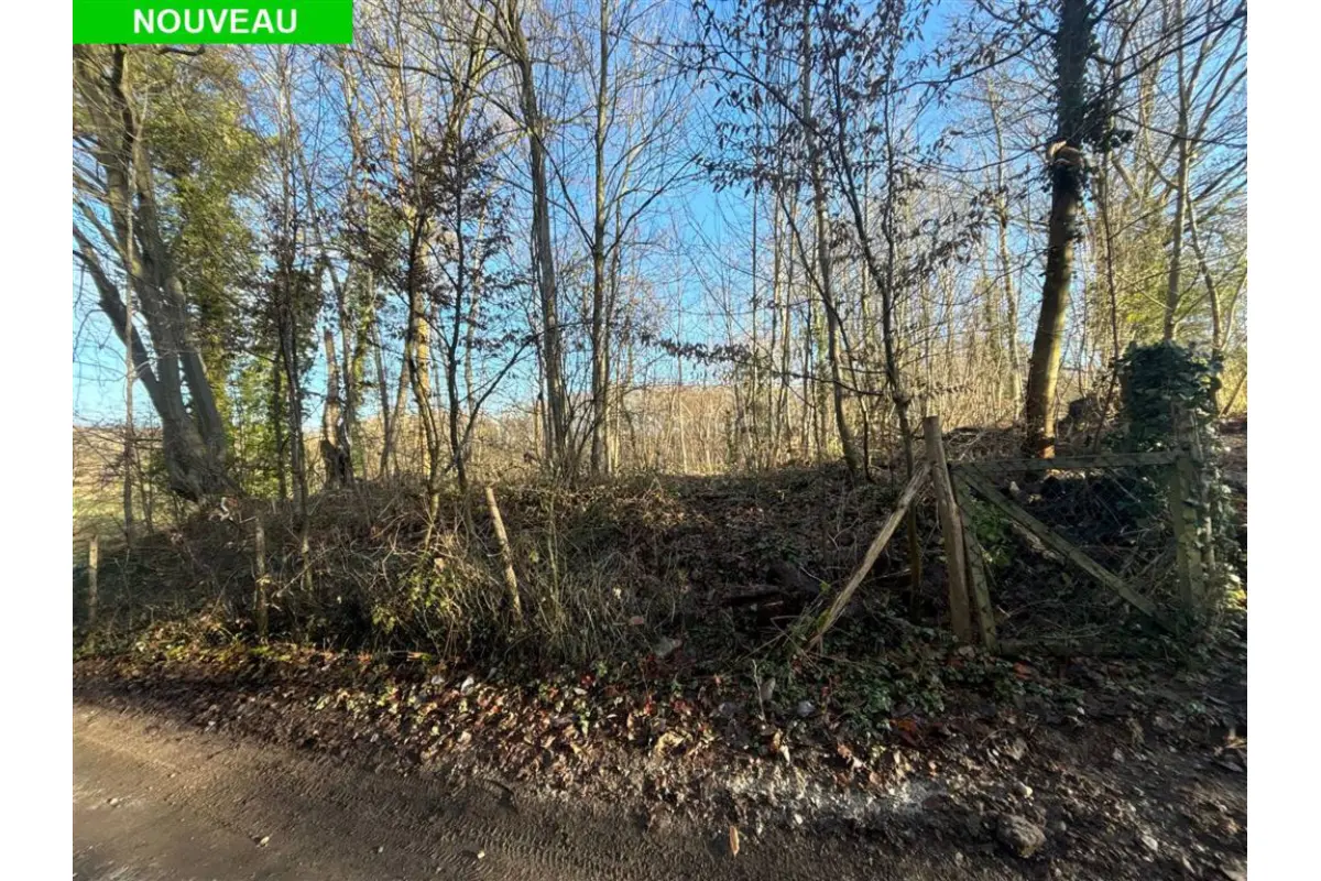 Terrain à vendre à Chastre-Villeroux-Blanmont 1450 175000.00€  chambres m² - Annonce 682244