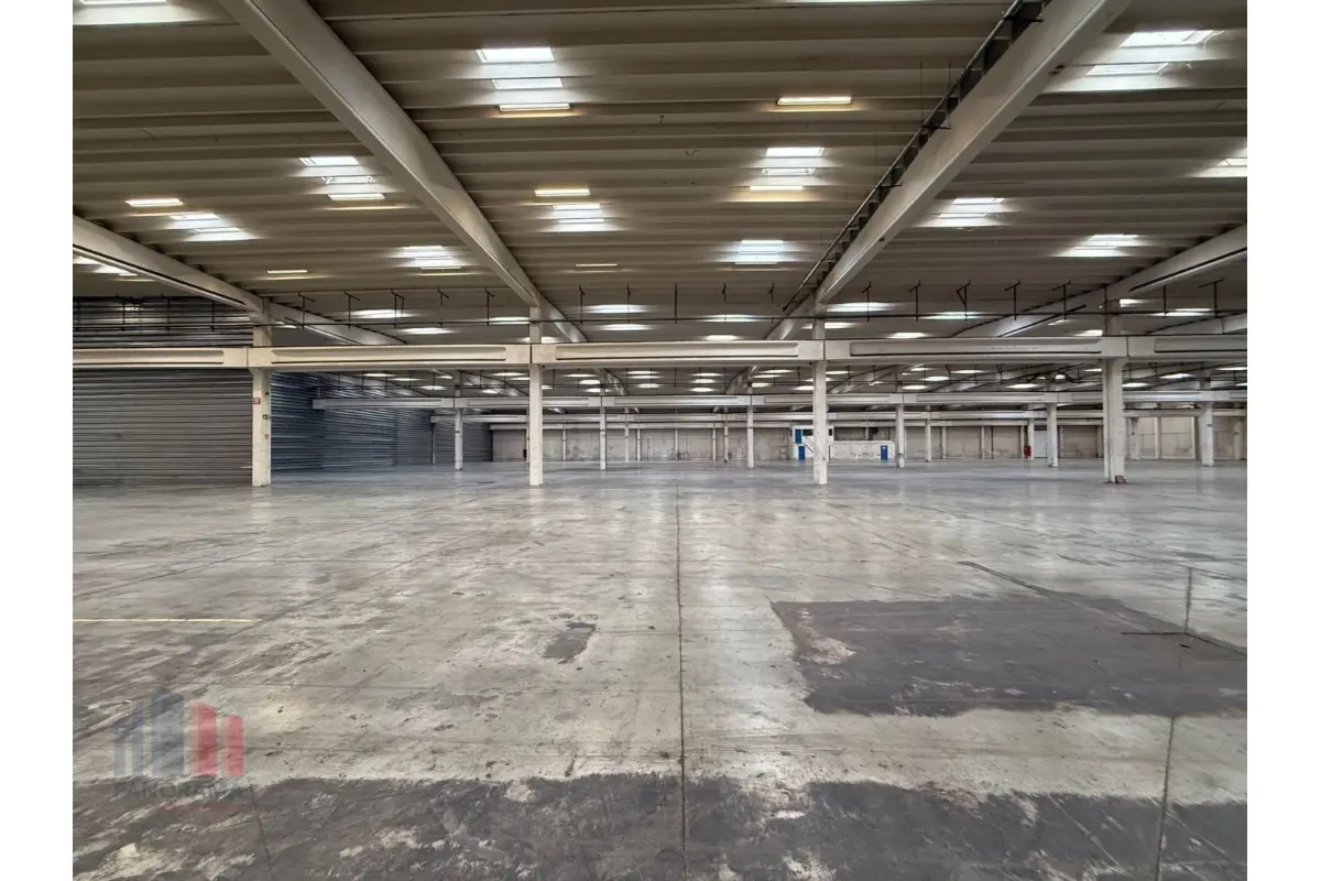 Commerce à louer à Boortmeerbeek 3190 43766.00€  chambres 11256.00m² - Annonce 683587