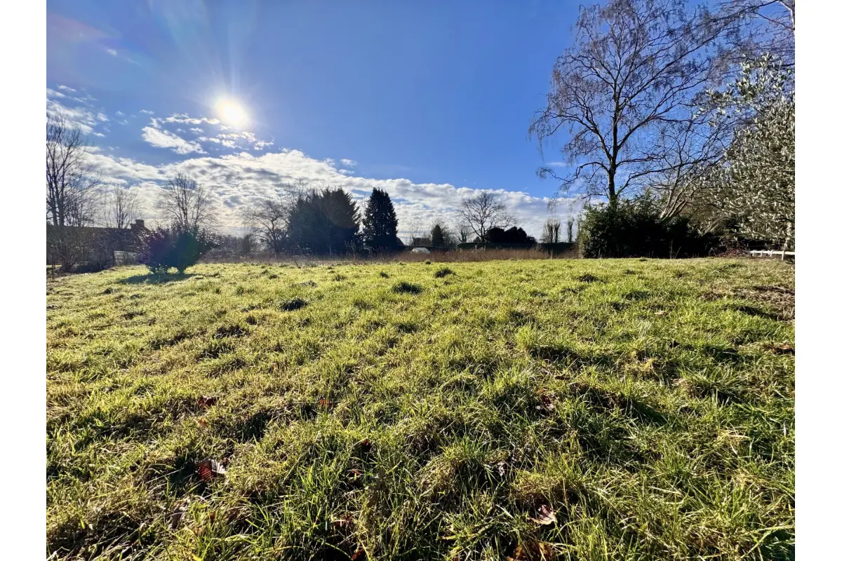 Terrain à vendre à Lasne 1380 465000.00€  chambres m² - Annonce 684780