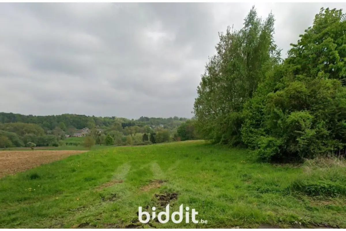 Terrain à vendre à Braine-le-Château 1440 12000.00€  chambres m² - Annonce 686688